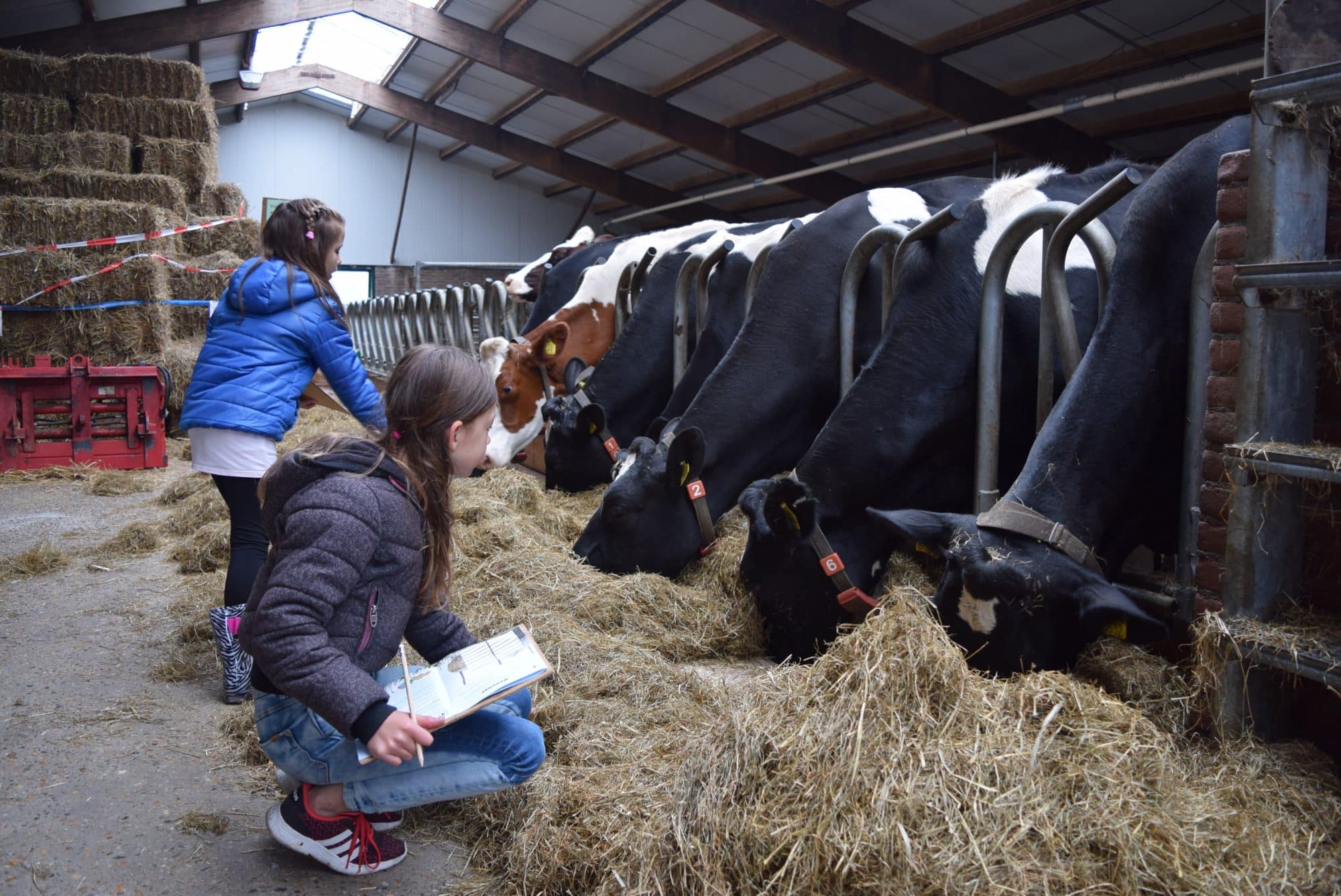 Kasboek van Hoeve Bouwlust uit  1931