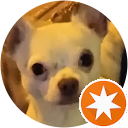 Arienne Boekholt profielfoto