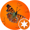 Kees en Tilly Nieuwstraten profielfoto