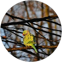 D España profielfoto