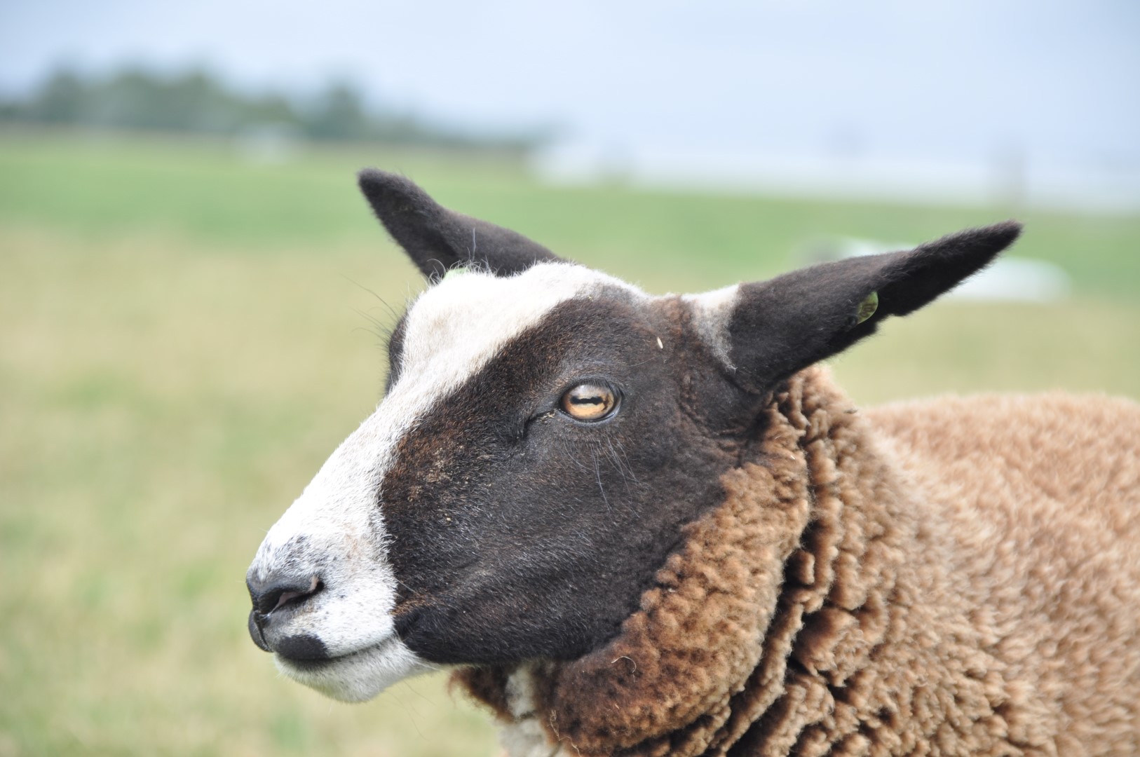 Foto's van Hoeve Bouwlust